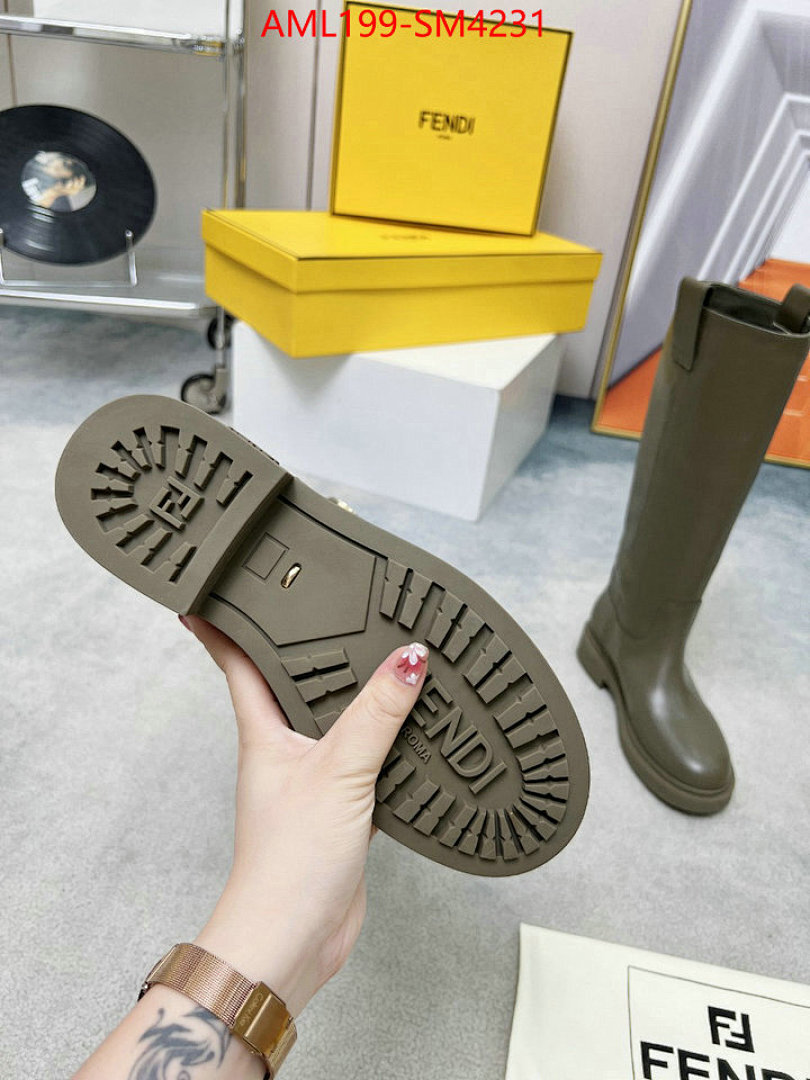 Women Shoes-Fendi ID: SM4231 $: 199USD