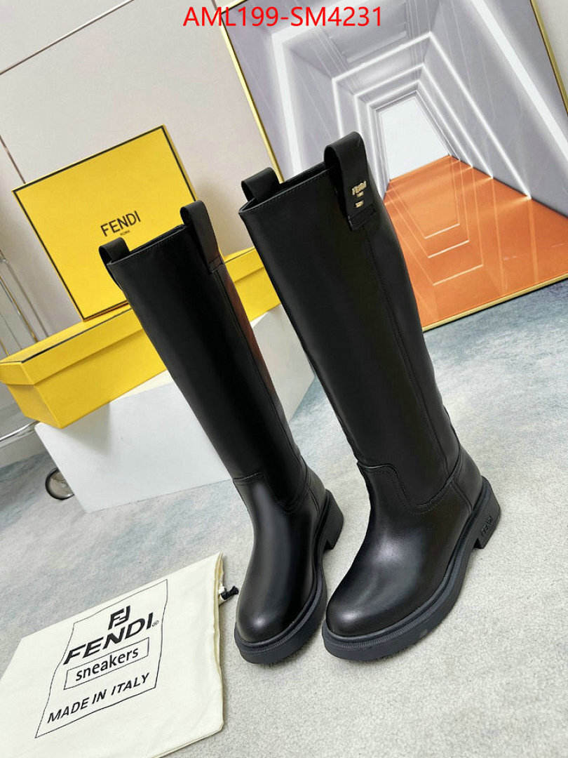 Women Shoes-Fendi ID: SM4231 $: 199USD