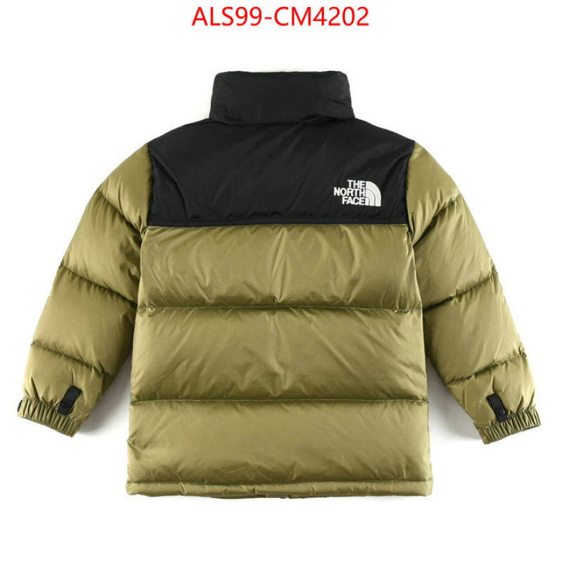 Kids clothing-The North Face ID: CM4202 $: 99USD