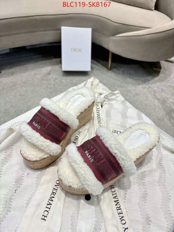 Women Shoes-Dior aaaaa quality replica ID: SK8167 $: 119USD