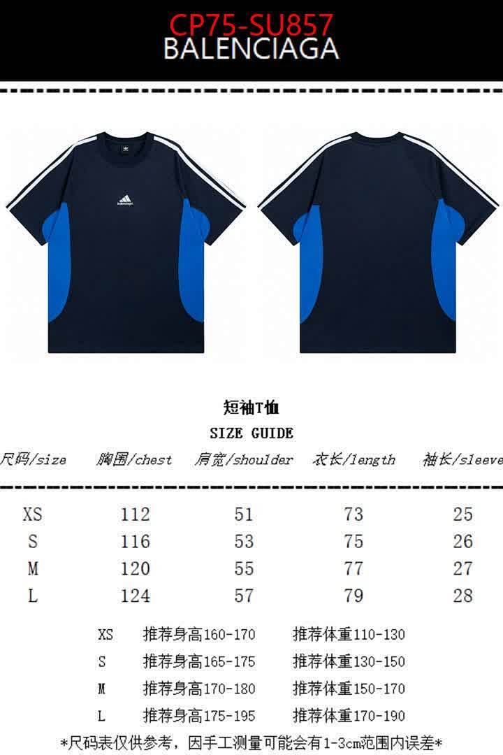 Clothing-Balenciaga ID: SU857 $: 75USD