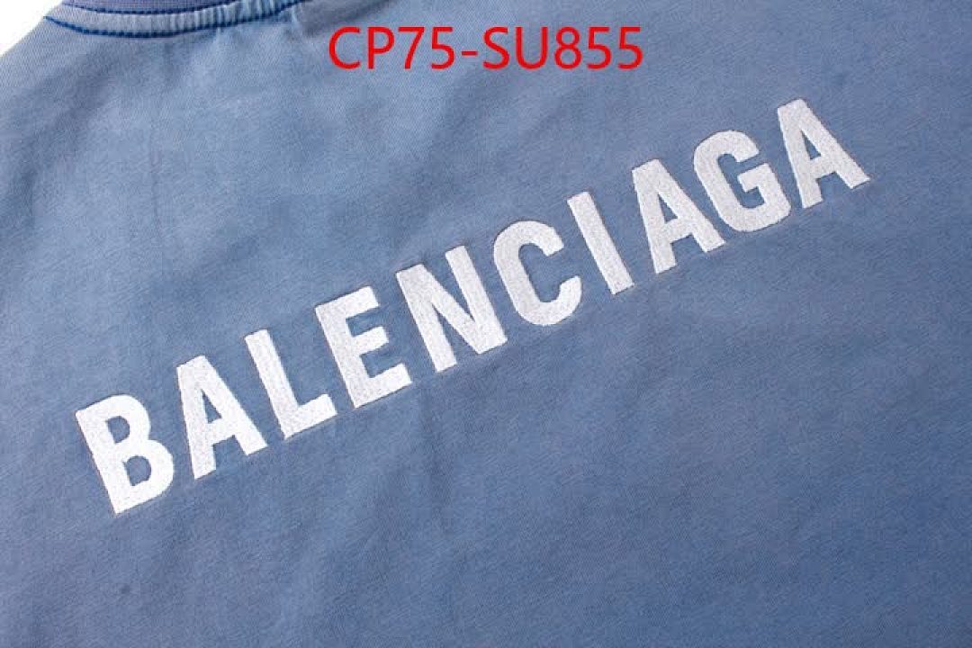 Clothing-Balenciaga ID: SU855 $: 75USD