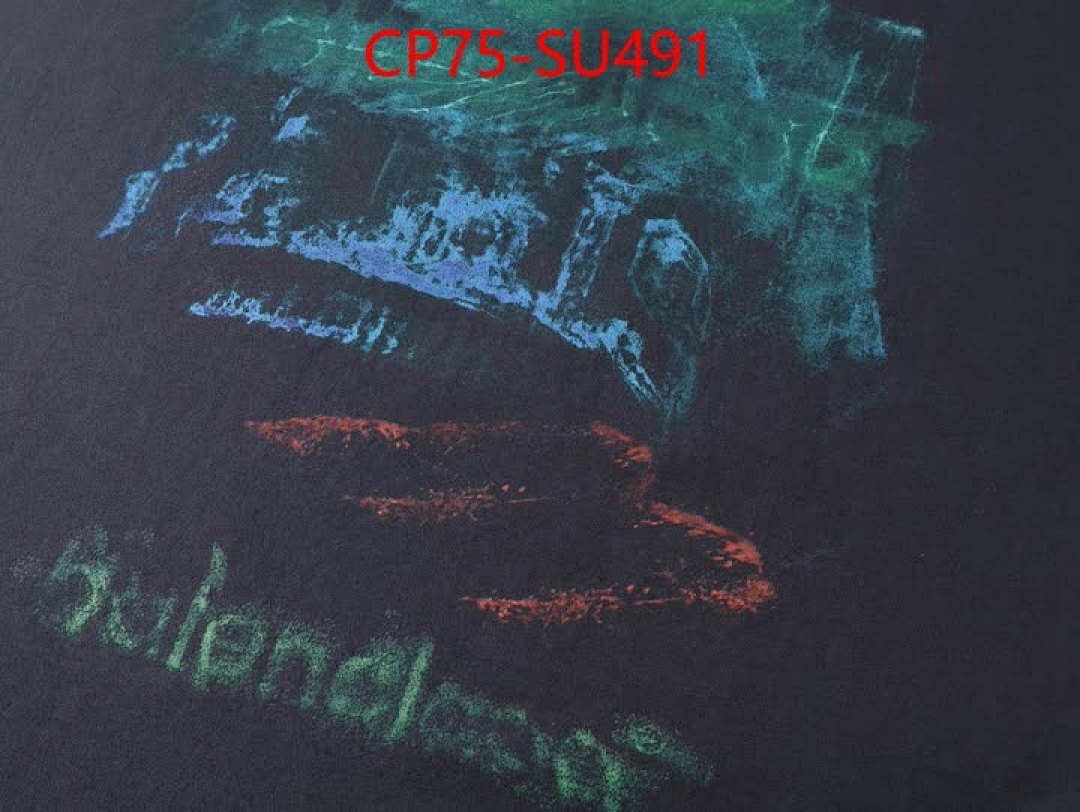 Clothing-Balenciaga ID: SU491 $: 75USD