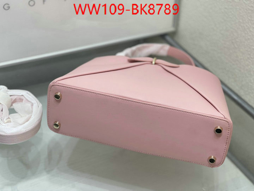 Dior Bags(4A)-Handbag- ID: BK8789 $: 109USD,