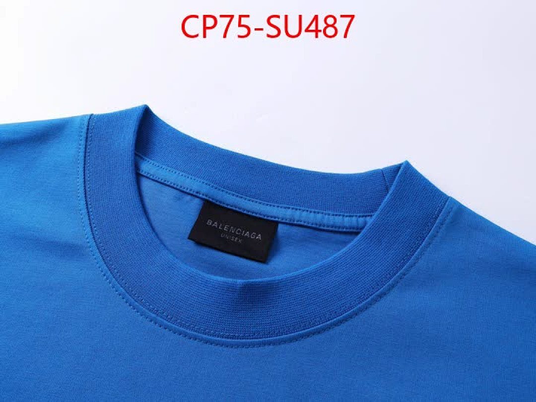 Clothing-Balenciaga ID: SU487 $: 75USD