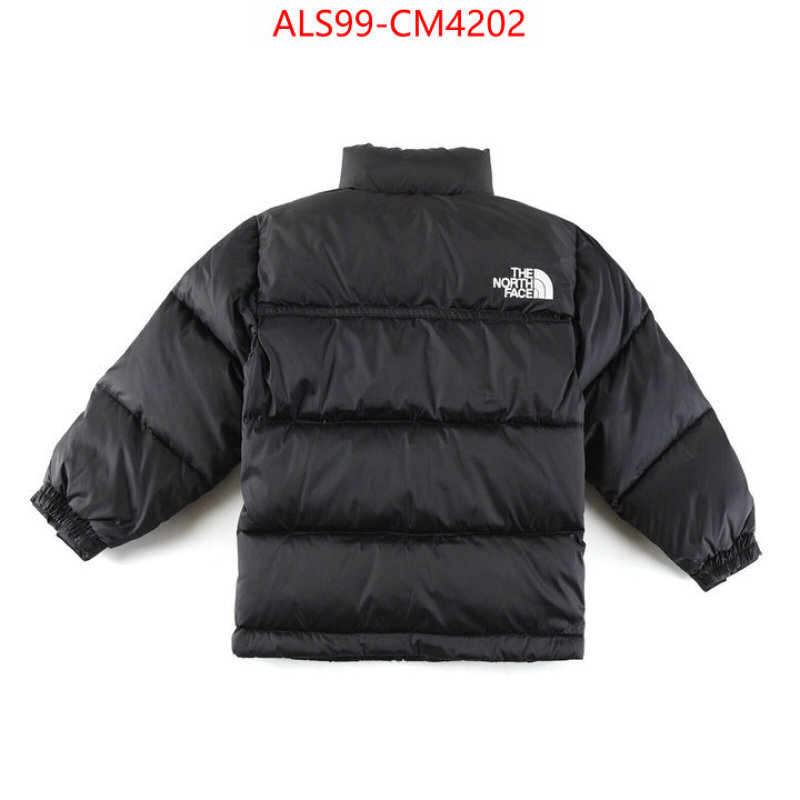 Kids clothing-The North Face ID: CM4202 $: 99USD