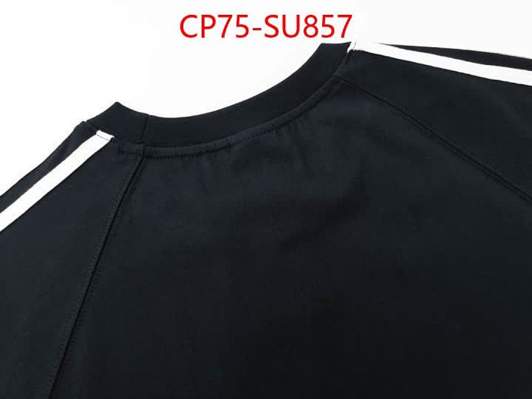 Clothing-Balenciaga ID: SU857 $: 75USD