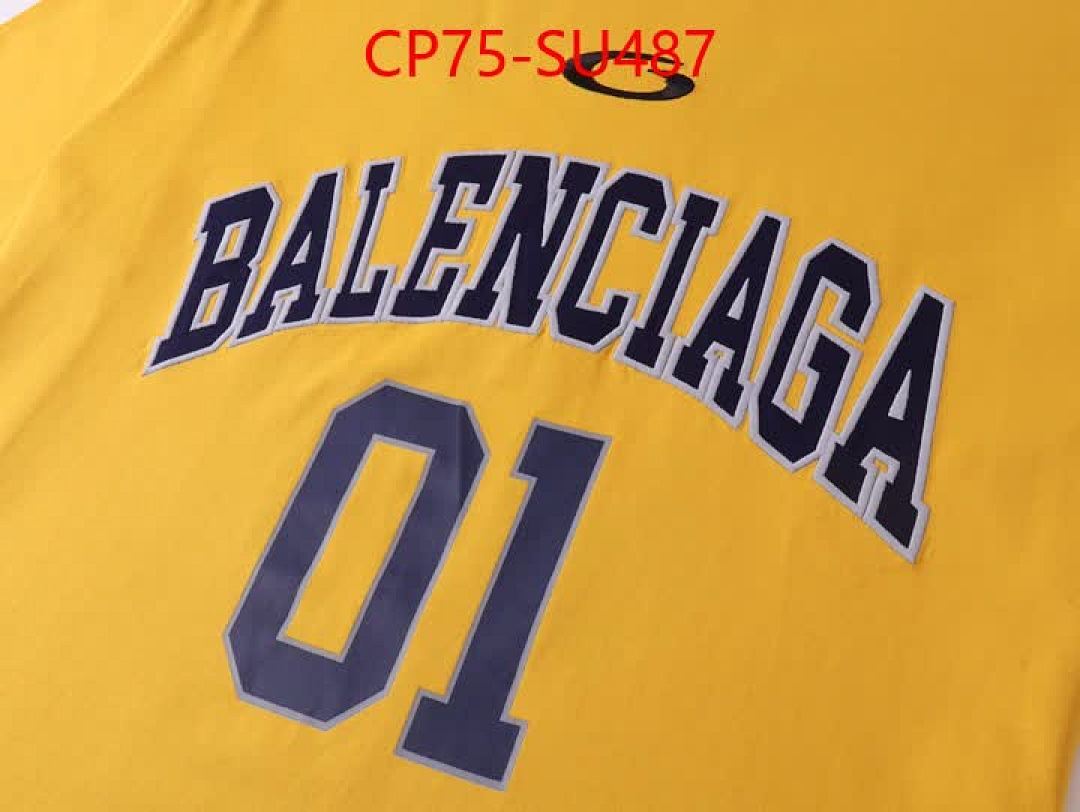 Clothing-Balenciaga ID: SU487 $: 75USD