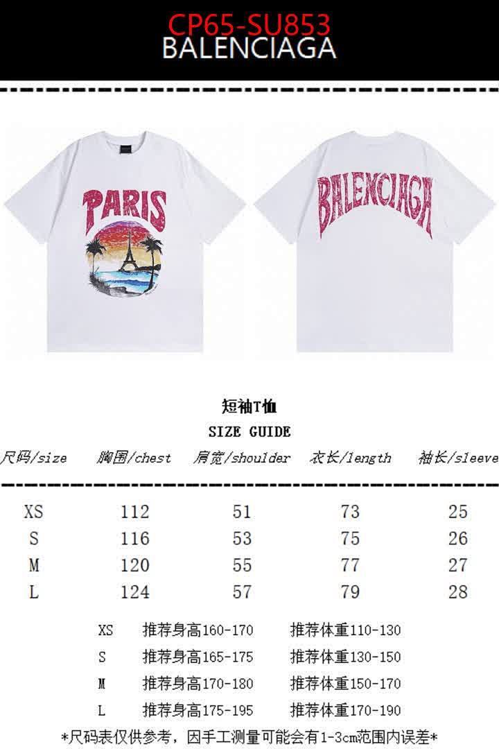 Clothing-Balenciaga ID: SU853 $: 65USD