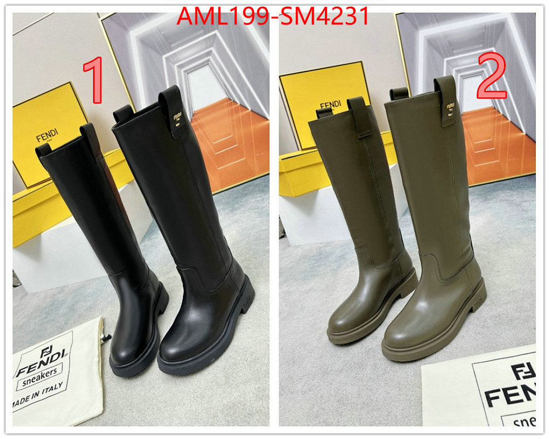 Women Shoes-Fendi ID: SM4231 $: 199USD