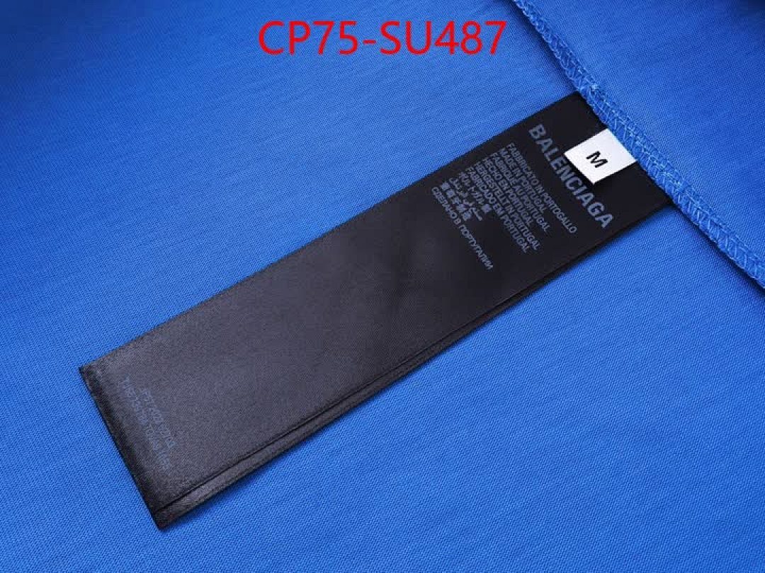 Clothing-Balenciaga ID: SU487 $: 75USD