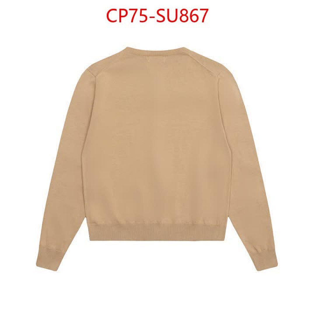 Clothing-Ralph Lauren ID: SU867 $: 75USD