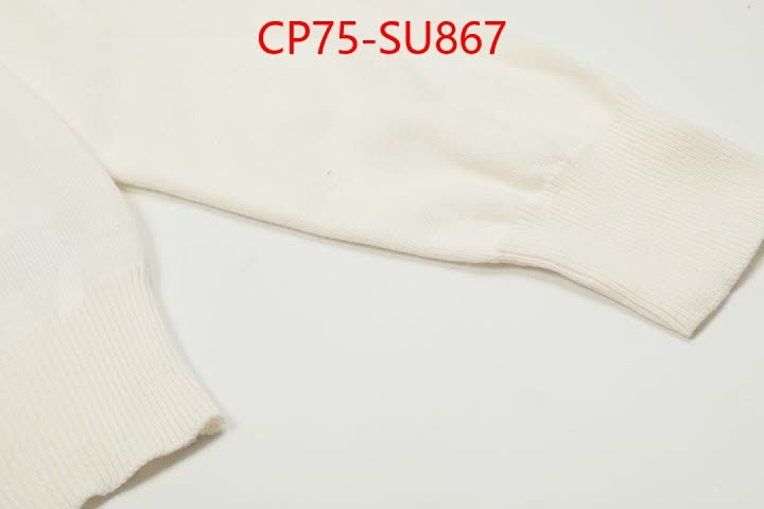 Clothing-Ralph Lauren ID: SU867 $: 75USD