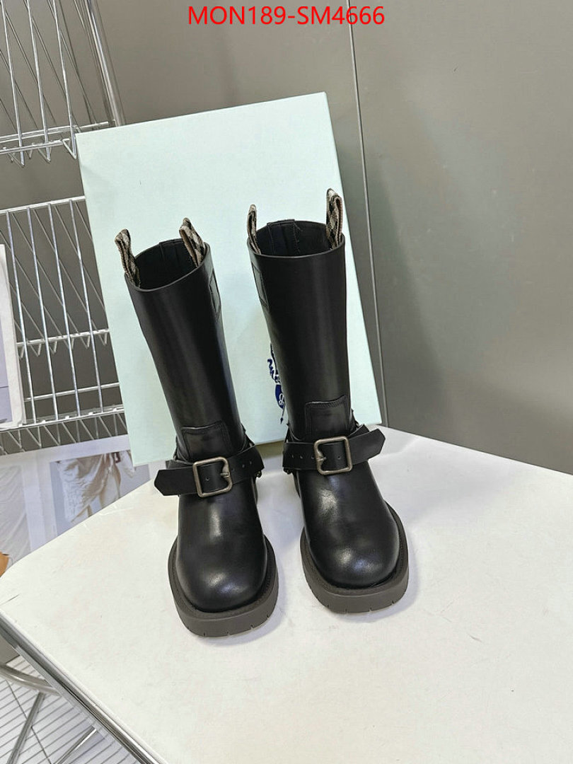 Women Shoes-Burberry ID: SM4666 $: 189USD