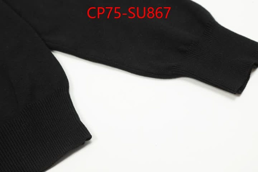 Clothing-Ralph Lauren ID: SU867 $: 75USD