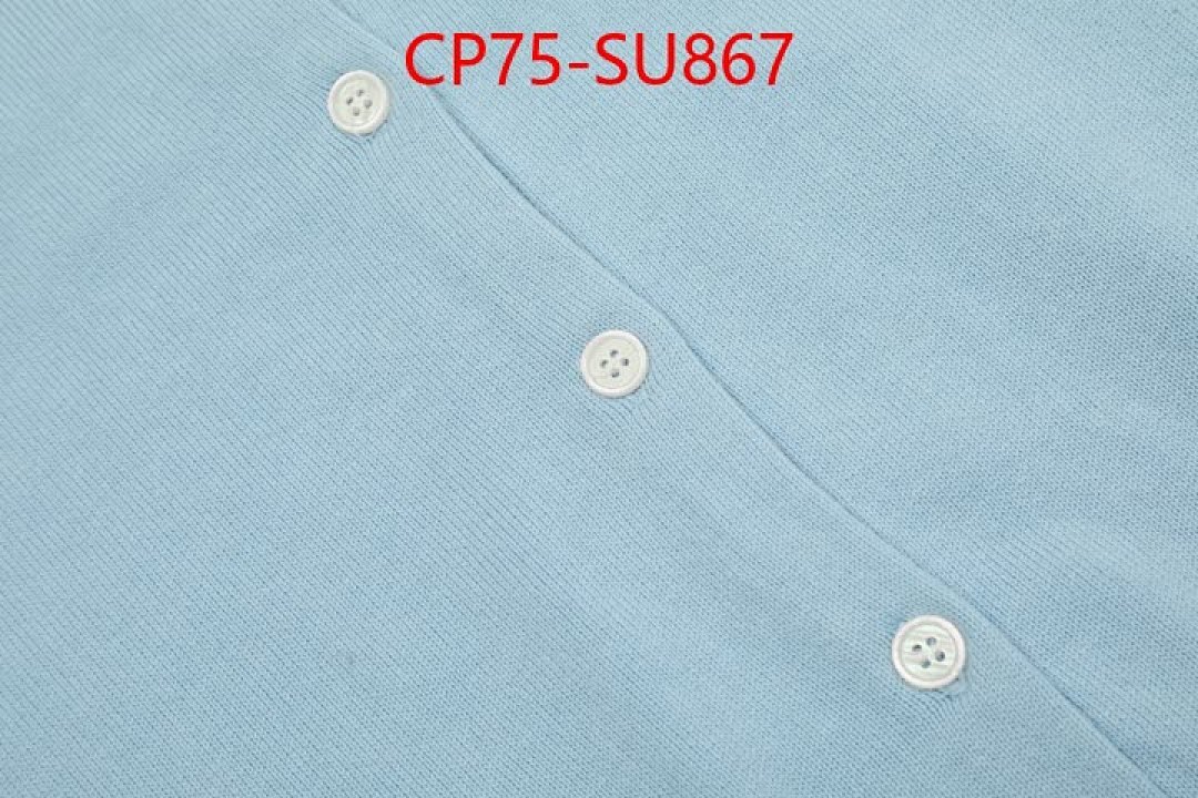 Clothing-Ralph Lauren ID: SU867 $: 75USD