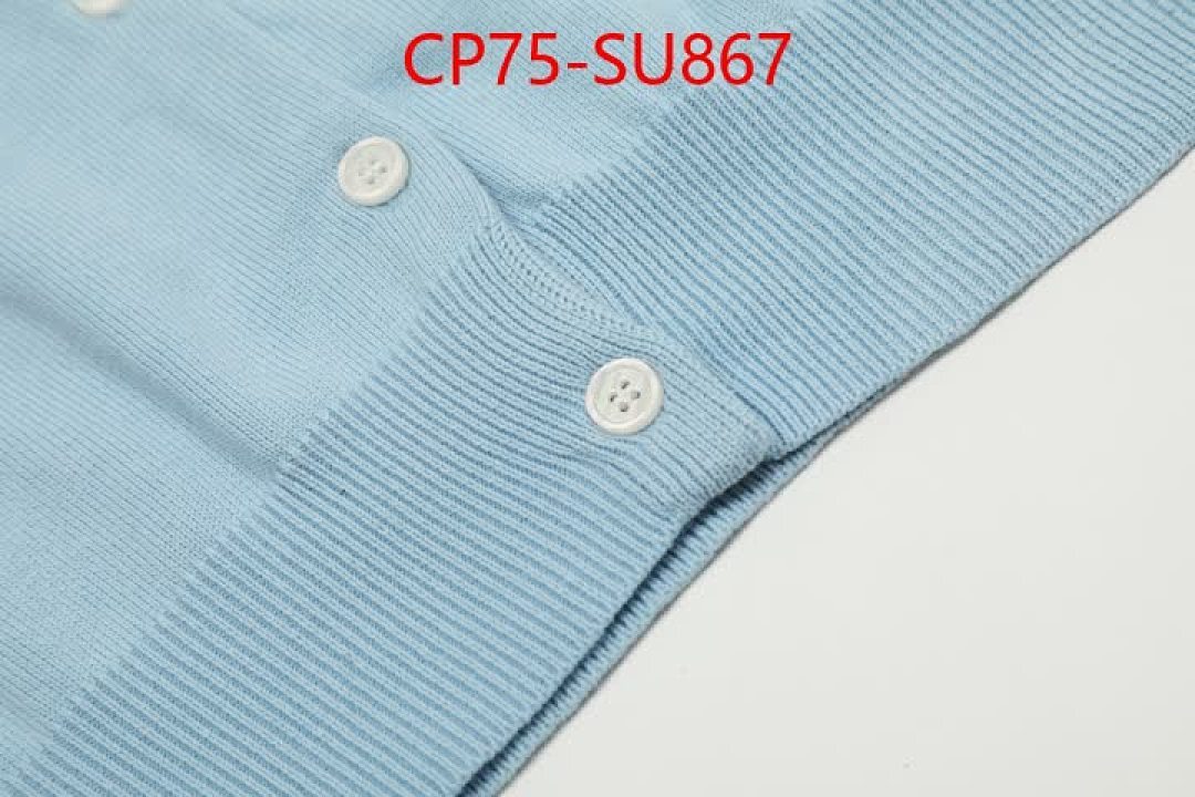 Clothing-Ralph Lauren ID: SU867 $: 75USD