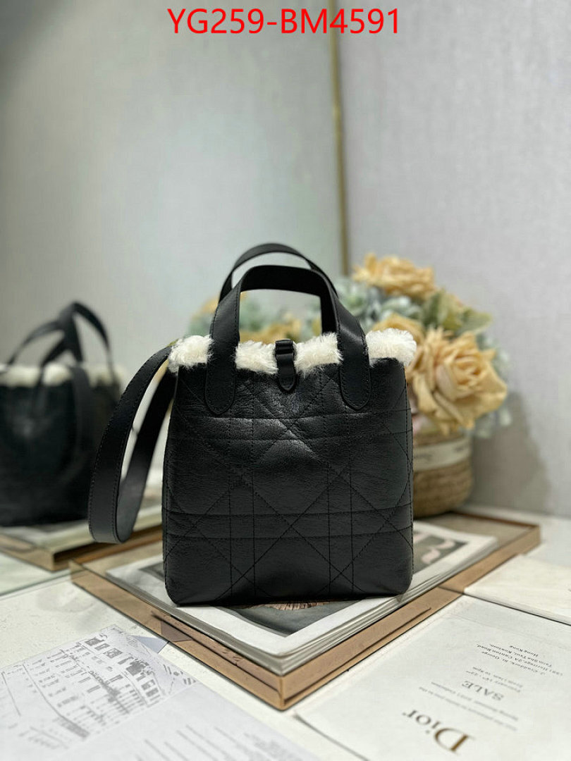 Dior Bags(TOP)-Handbag- ID: BM4591
