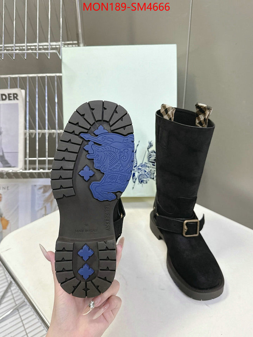 Women Shoes-Burberry ID: SM4666 $: 189USD