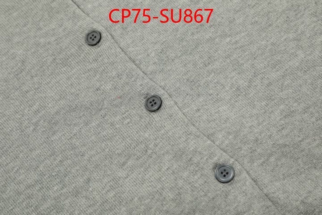 Clothing-Ralph Lauren ID: SU867 $: 75USD