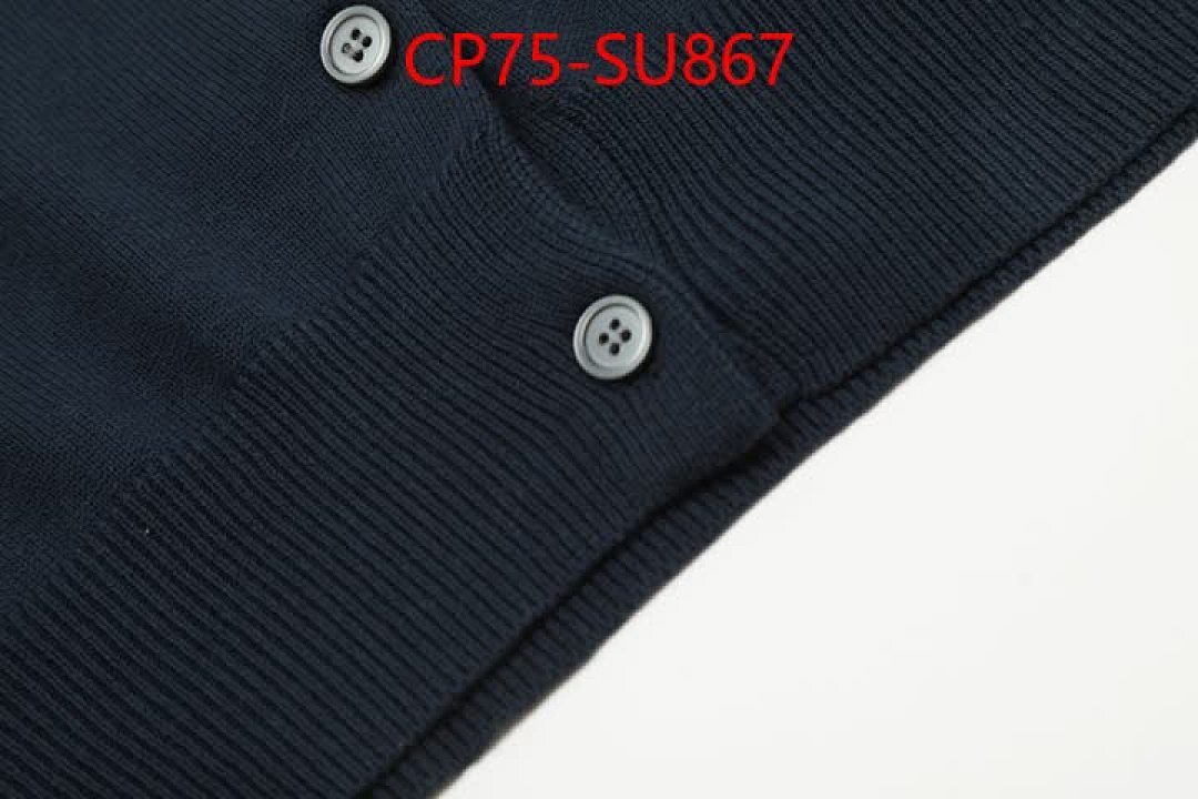 Clothing-Ralph Lauren ID: SU867 $: 75USD