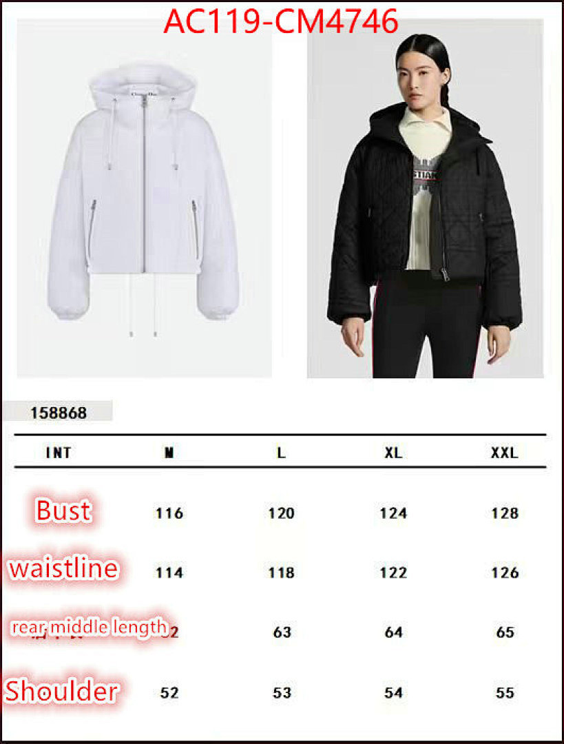 Down jacket Women-Dior ID: CM4746 $: 119USD