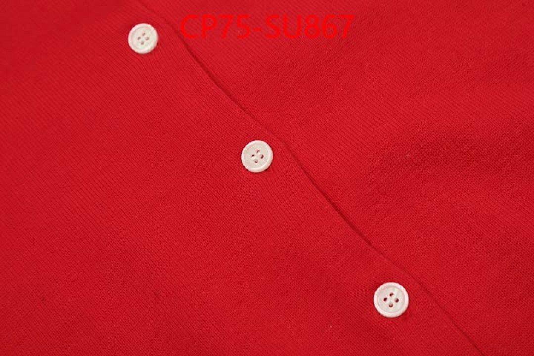 Clothing-Ralph Lauren ID: SU867 $: 75USD