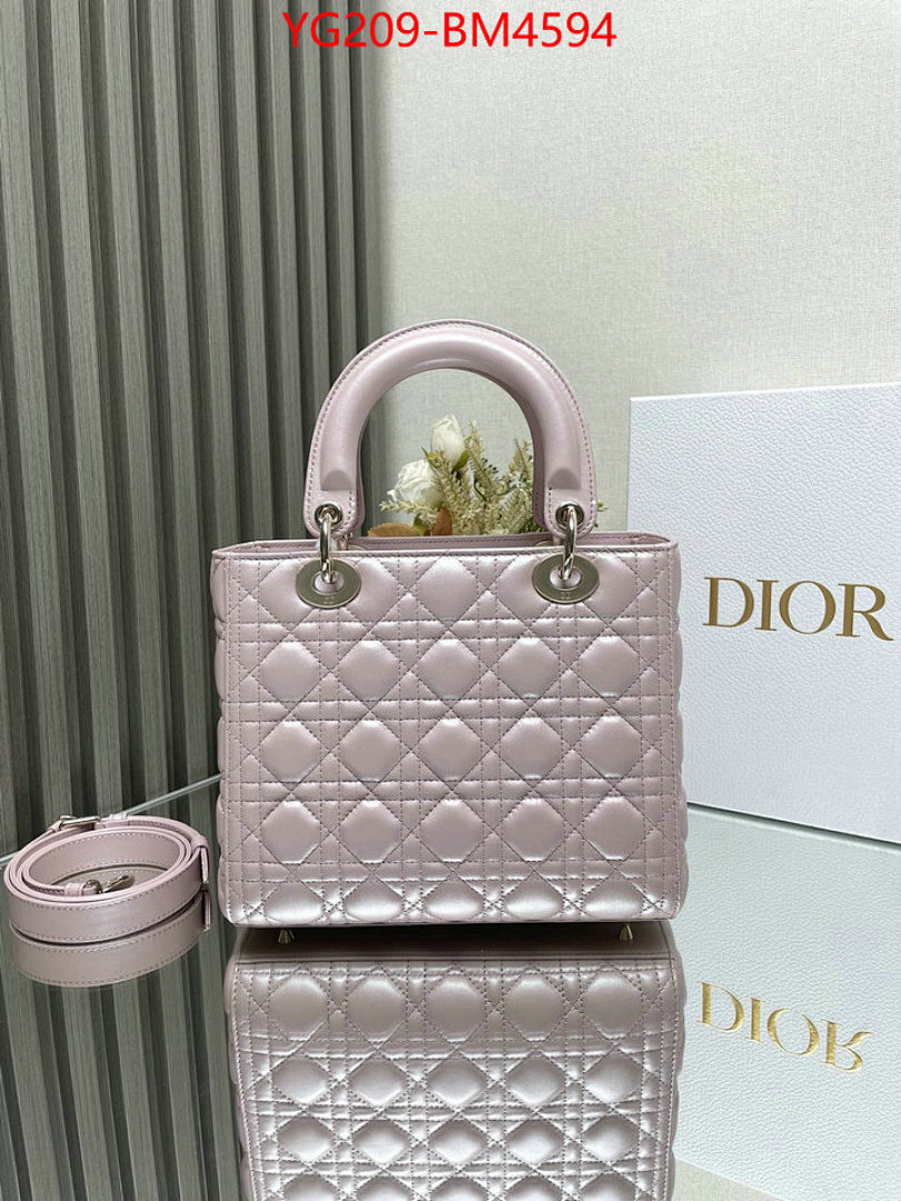 Dior Bags(TOP)-Lady- ID: BM4594 $: 209USD,