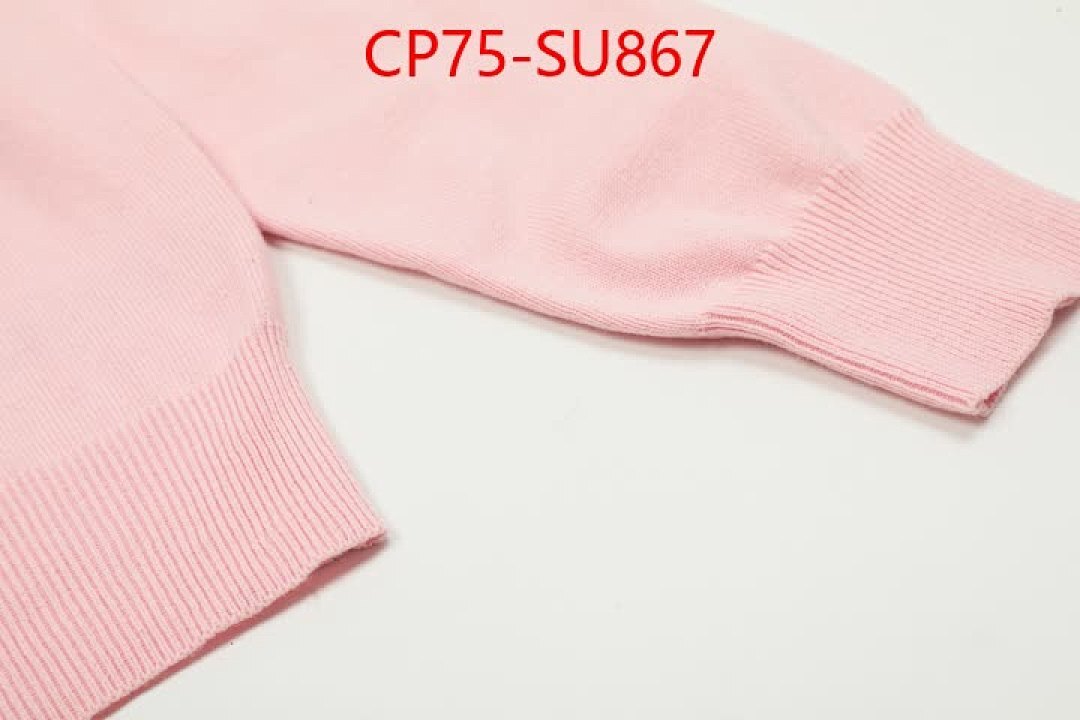 Clothing-Ralph Lauren ID: SU867 $: 75USD