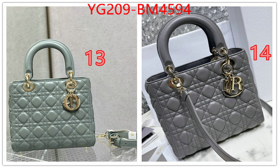 Dior Bags(TOP)-Lady- ID: BM4594 $: 209USD,