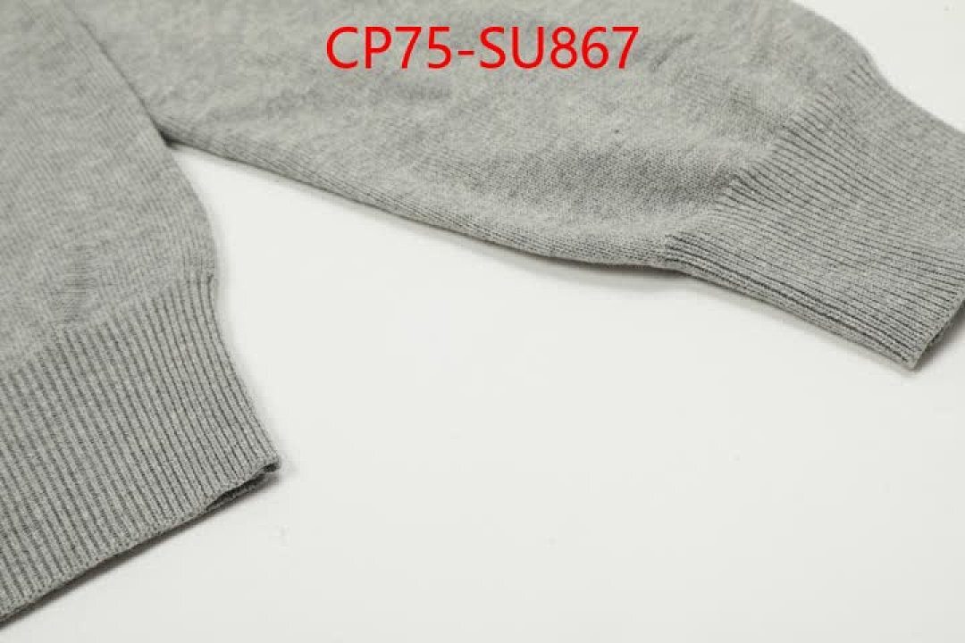 Clothing-Ralph Lauren ID: SU867 $: 75USD