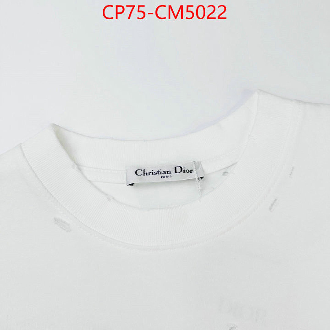 Clothing-Dior ID: CM5022 $: 75USD