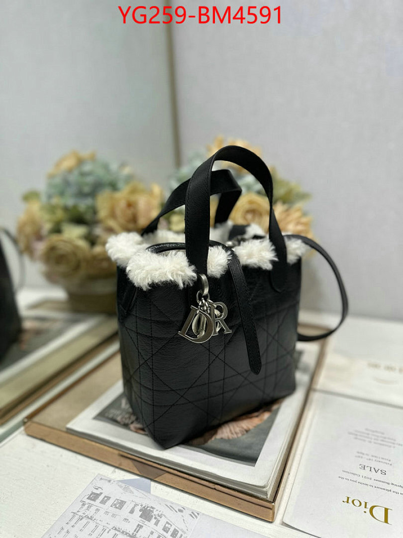 Dior Bags(TOP)-Handbag- ID: BM4591