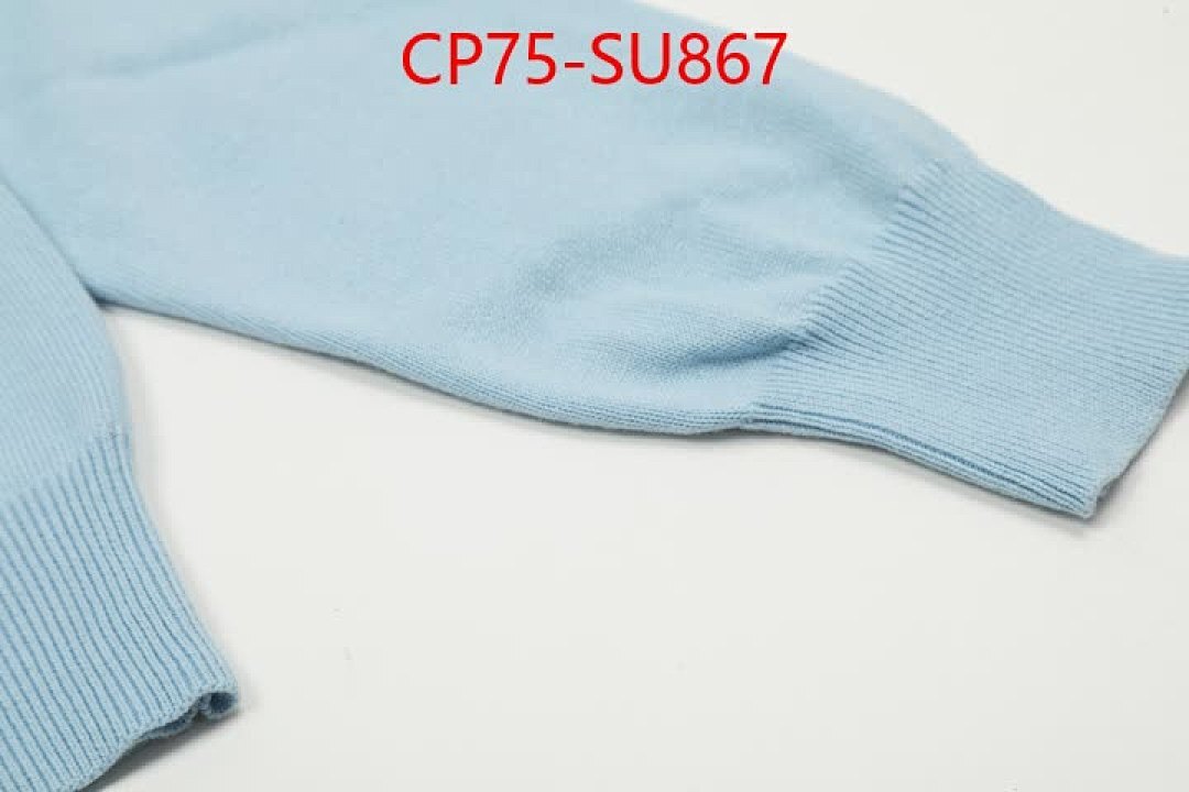 Clothing-Ralph Lauren ID: SU867 $: 75USD