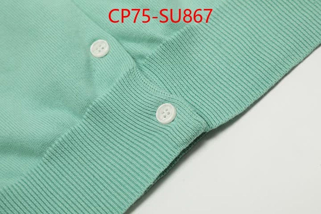 Clothing-Ralph Lauren ID: SU867 $: 75USD