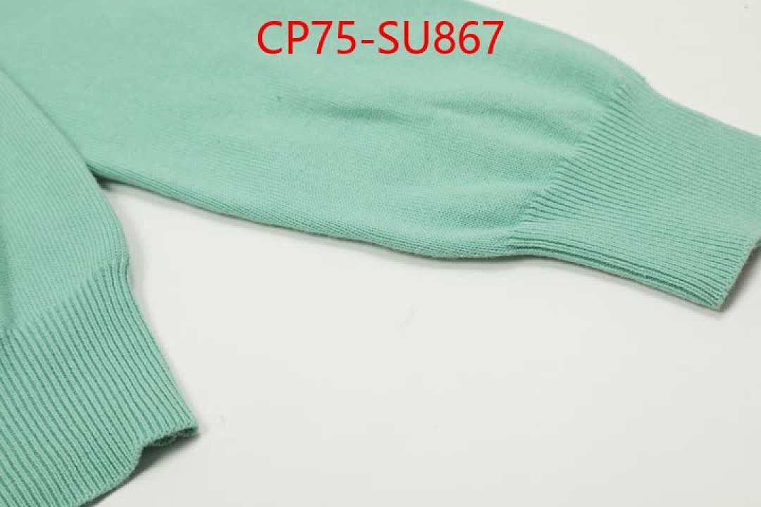 Clothing-Ralph Lauren ID: SU867 $: 75USD