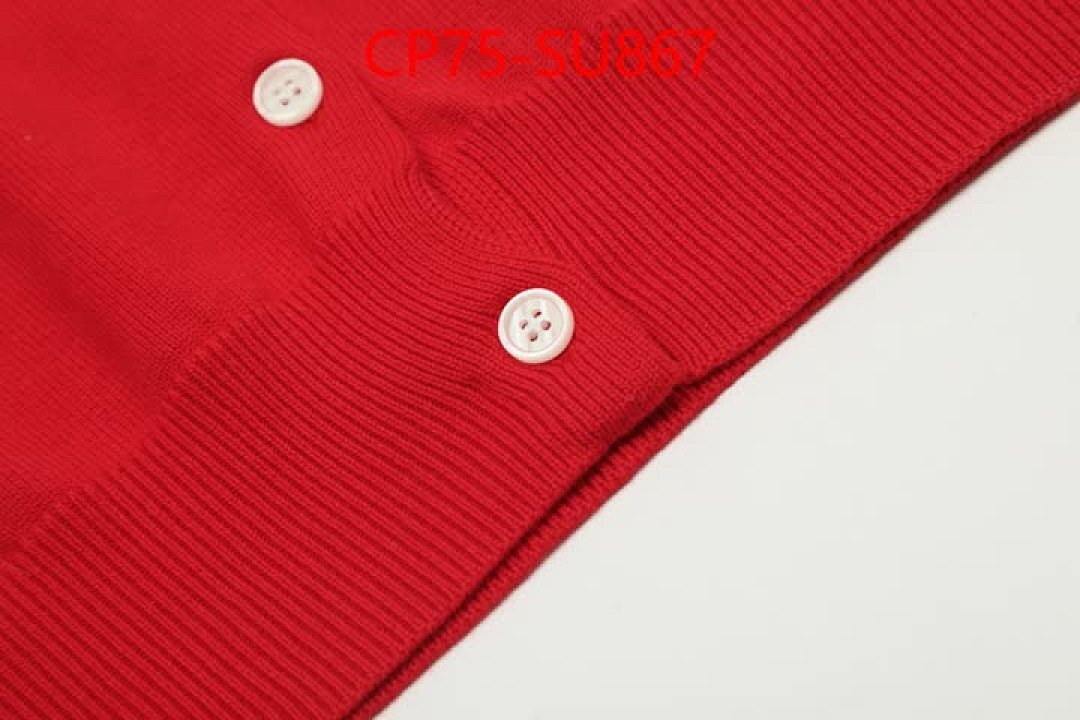 Clothing-Ralph Lauren ID: SU867 $: 75USD