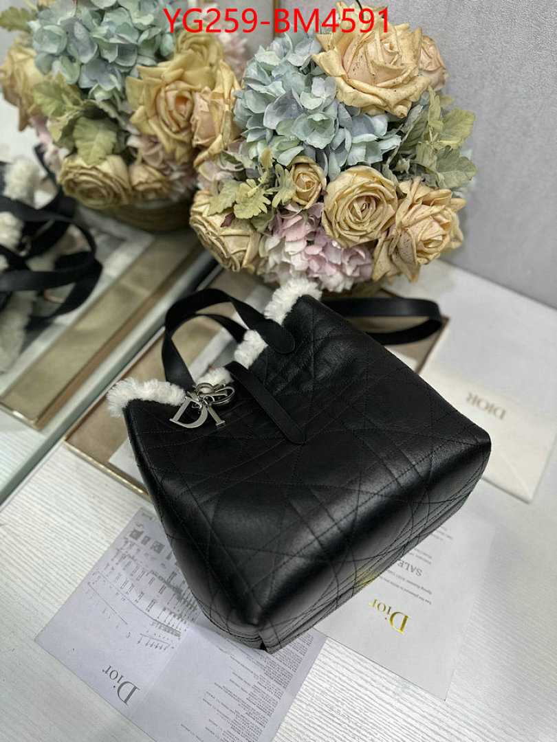 Dior Bags(TOP)-Handbag- ID: BM4591