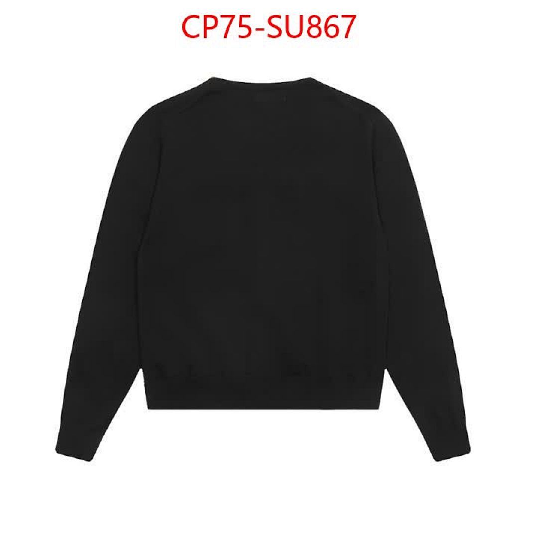 Clothing-Ralph Lauren ID: SU867 $: 75USD