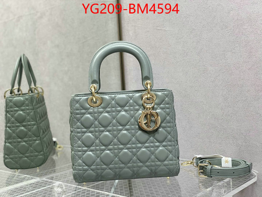 Dior Bags(TOP)-Lady- ID: BM4594 $: 209USD,