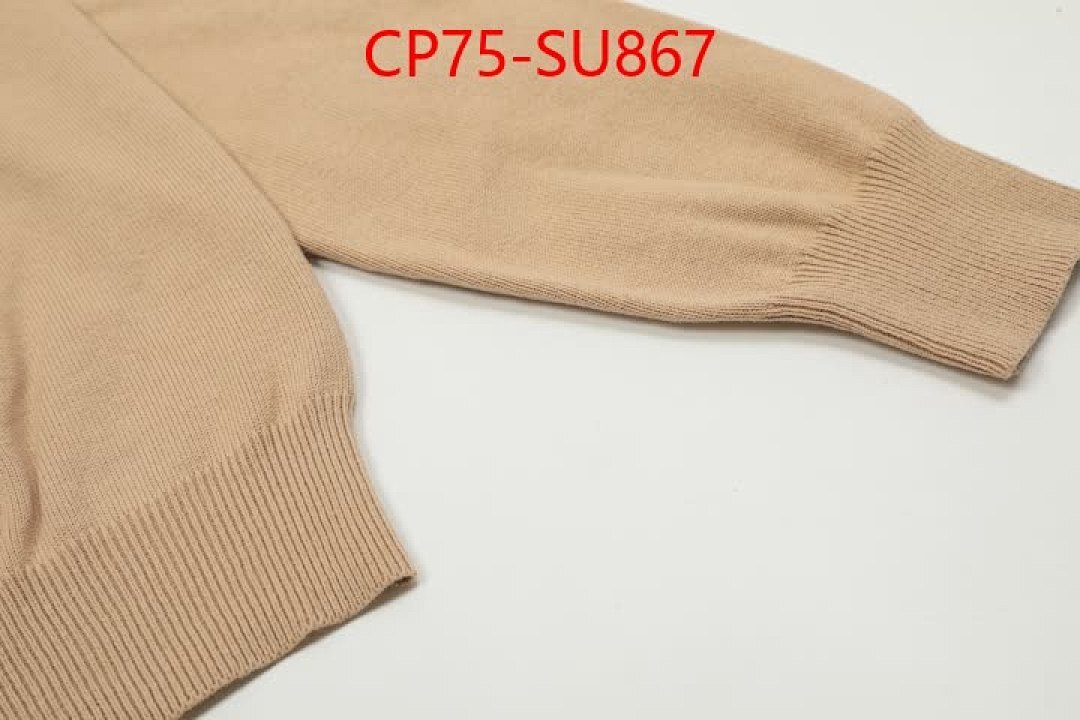 Clothing-Ralph Lauren ID: SU867 $: 75USD