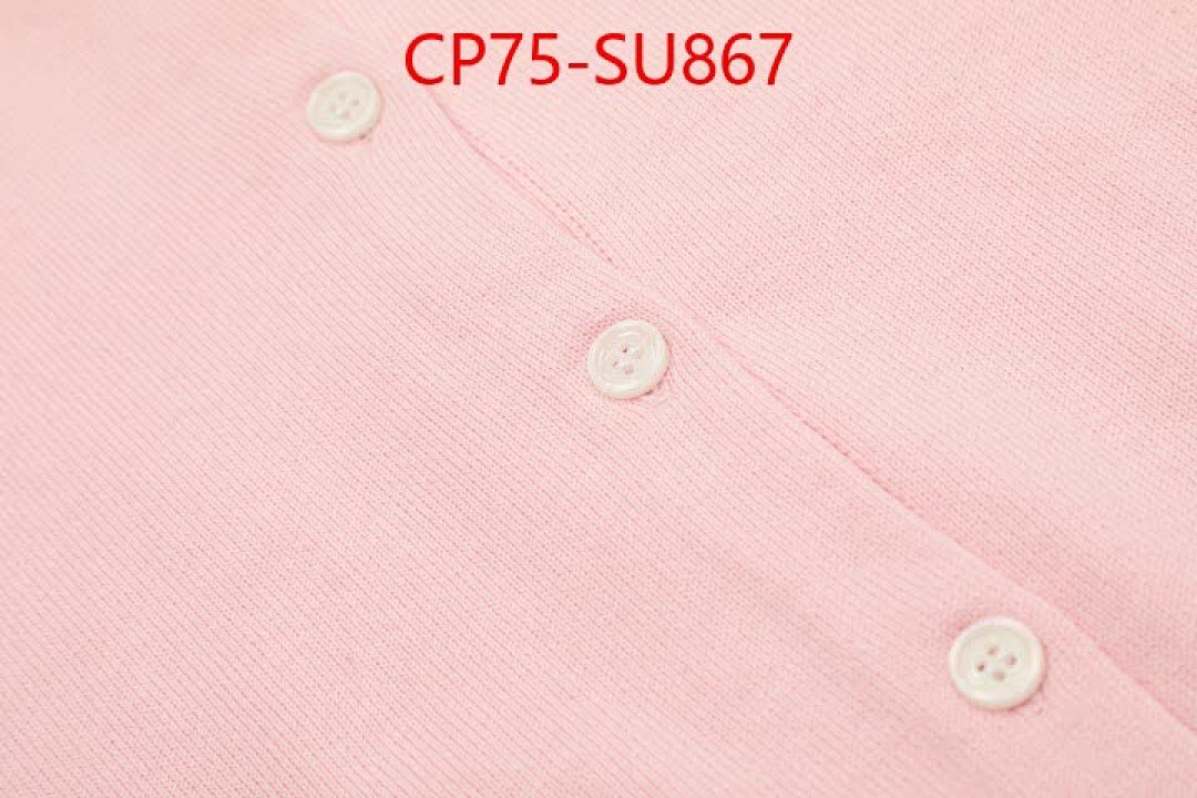 Clothing-Ralph Lauren ID: SU867 $: 75USD