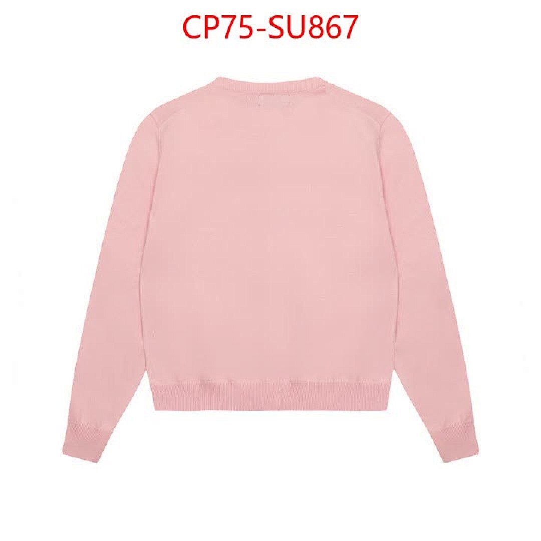 Clothing-Ralph Lauren ID: SU867 $: 75USD