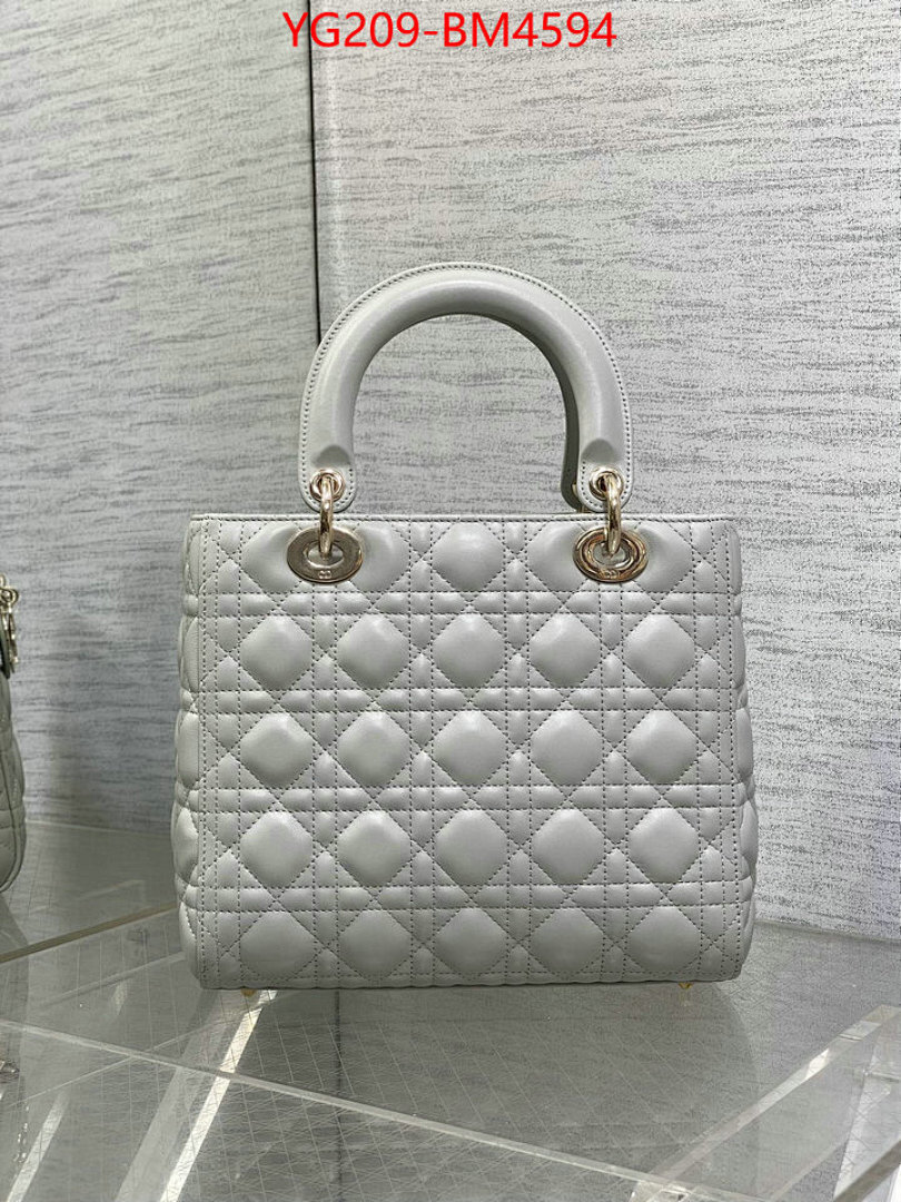 Dior Bags(TOP)-Lady- ID: BM4594 $: 209USD,