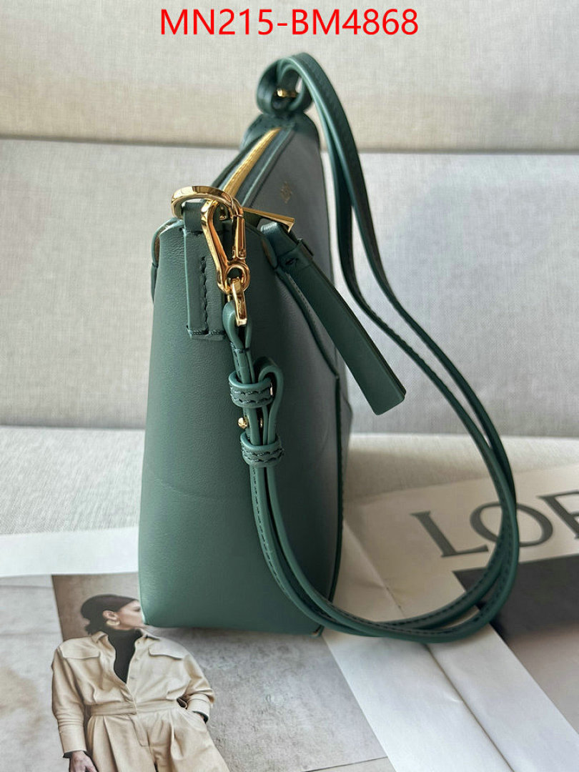 Loewe Bags(TOP)-Puzzle- ID: BM4868 $: 215USD,