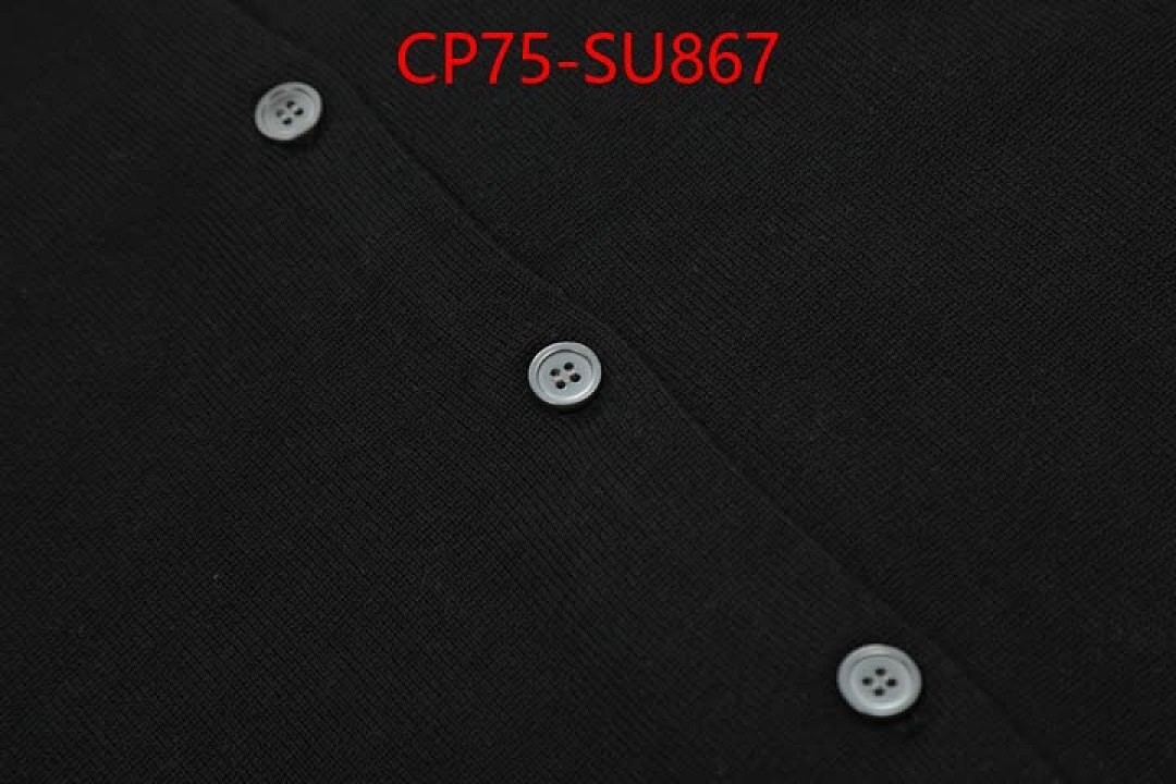 Clothing-Ralph Lauren ID: SU867 $: 75USD