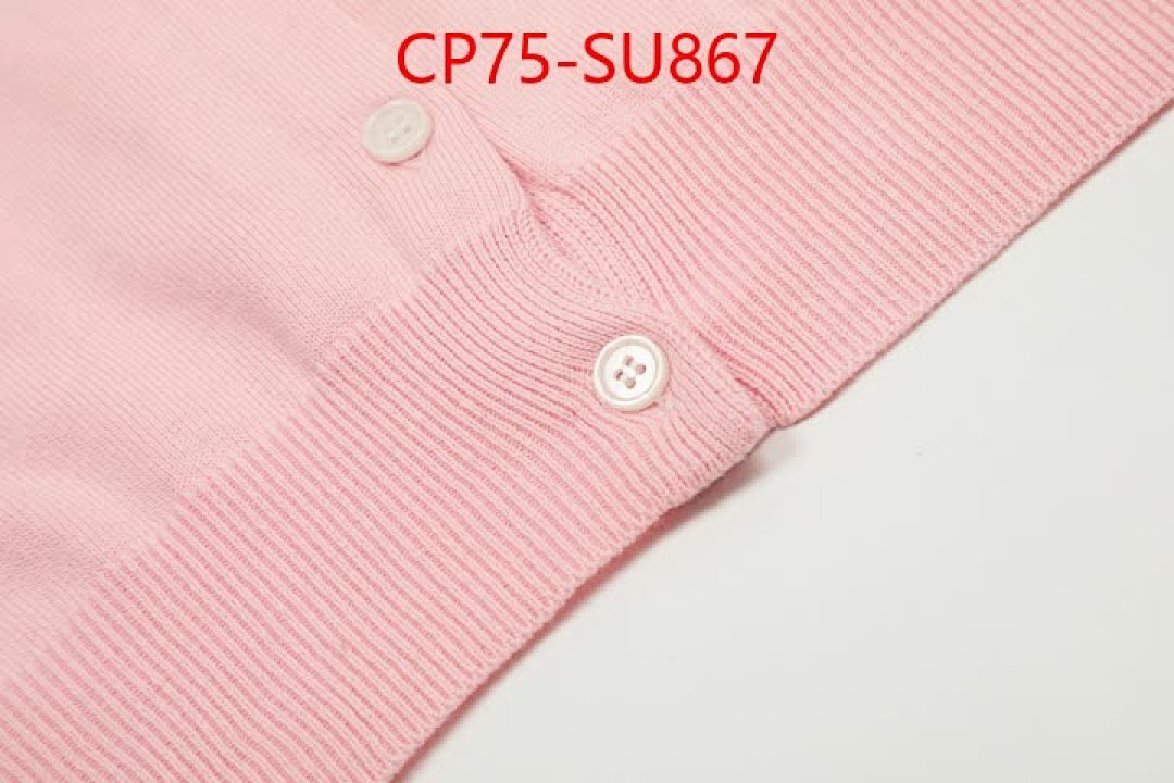 Clothing-Ralph Lauren ID: SU867 $: 75USD