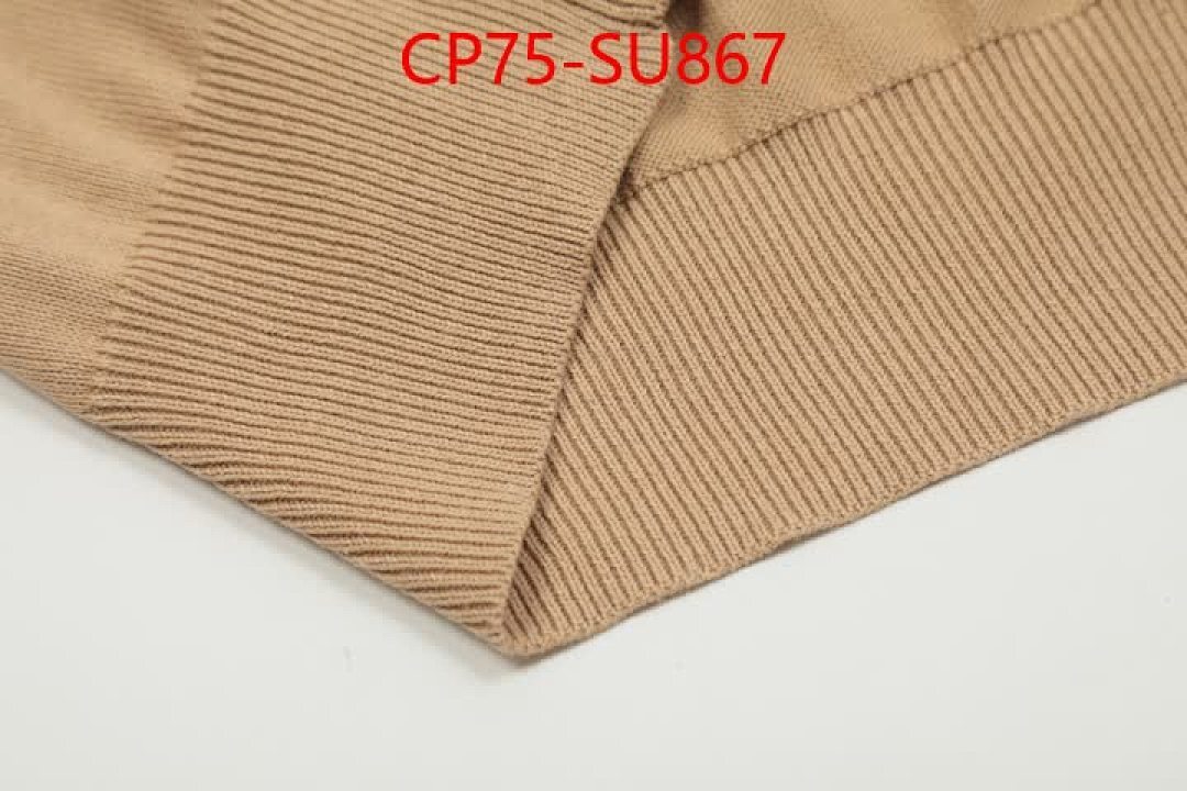 Clothing-Ralph Lauren ID: SU867 $: 75USD