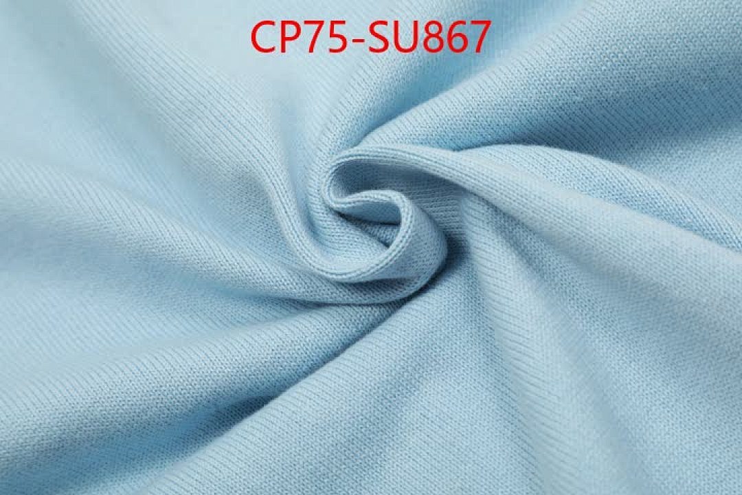 Clothing-Ralph Lauren ID: SU867 $: 75USD