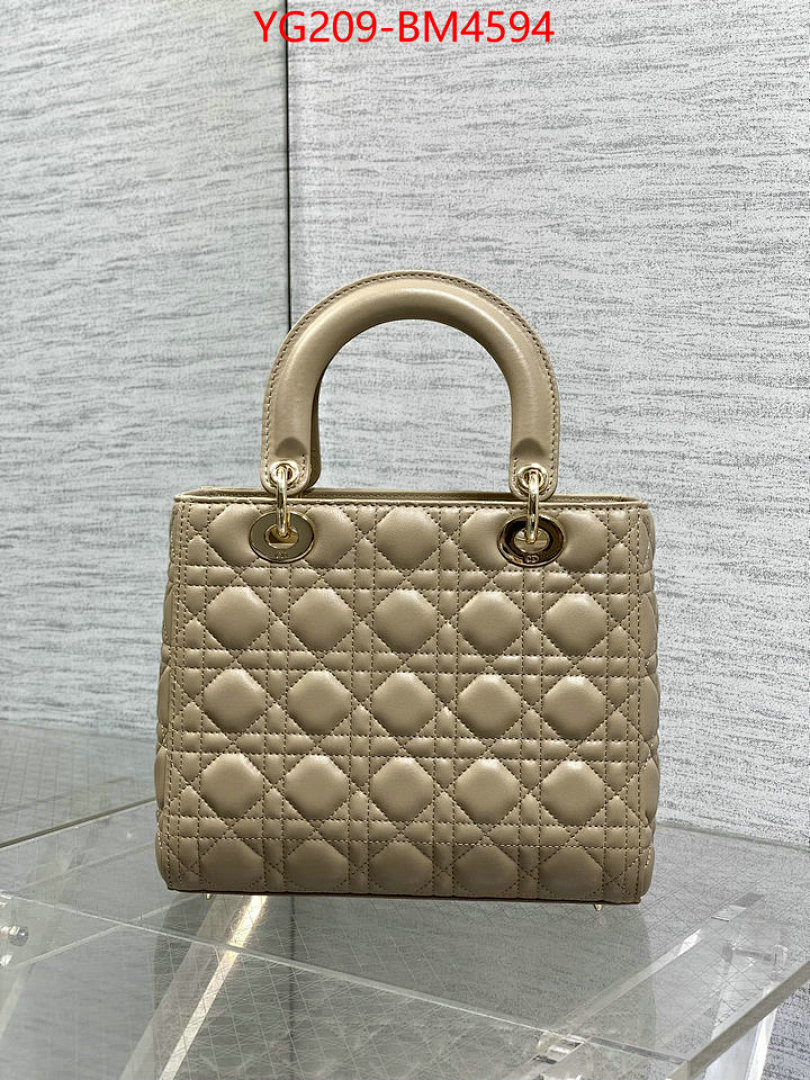 Dior Bags(TOP)-Lady- ID: BM4594 $: 209USD,